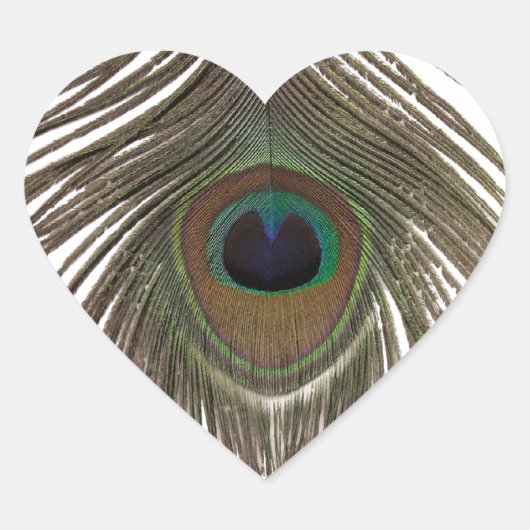Peacockvetherhart Hart Sticker (Voorkant)