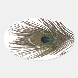 Peacockvetherovaal Ovale Sticker