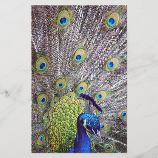 Peacockvogelveren Briefpapier (Voorkant)