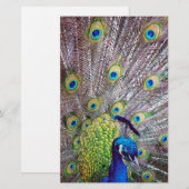 Peacockvogelveren Briefpapier (Voorkant / Achterkant)