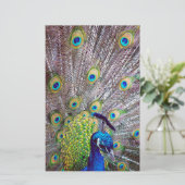 Peacockvogelveren Briefpapier (Staand voorkant)