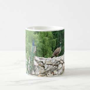 Peacocs dans un jardin photo Mug