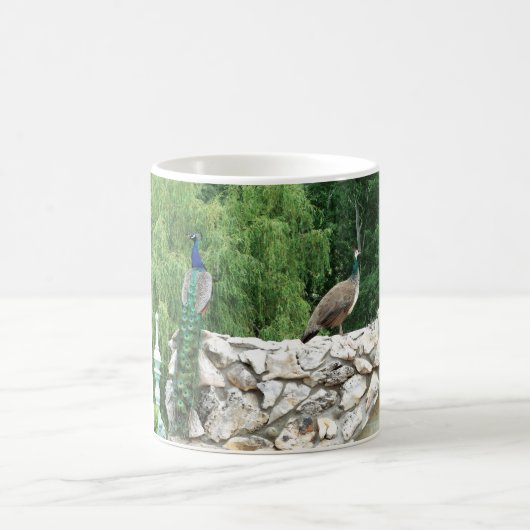 Peacocs dans un jardin photo Mug (Centre)