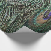 Peafowl Feathers Cadeaupapier (Hoek)