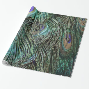 Peafowl Feathers Cadeaupapier
