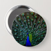 "Peafowl Plumage" Pin Ronde Button 4,0 Cm (Voorkant /achterkant)
