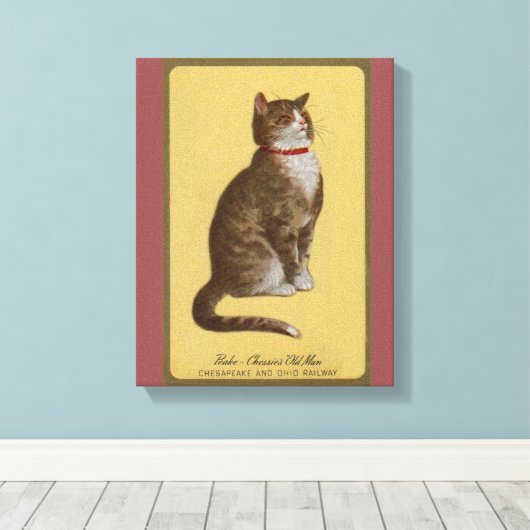Peake, Chessie's Old Man tomcat tabby cat Canvas Afdruk (Insitu (Houten vloer))