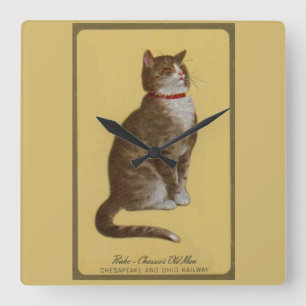 Peake, Chessie's Old Man tomcat tabby cat kat Vierkante Klok