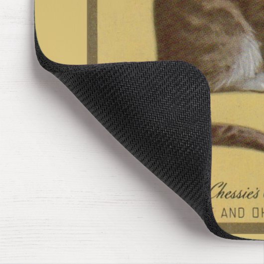 Peake, Chessie's Old Man tomcat tabby cat Muismat (Hoek)