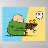 Peanuts | Charlie Brown & Woodstock Half & Half Poster (Voorkant)