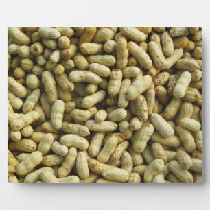 Peanuts Fotoplaat