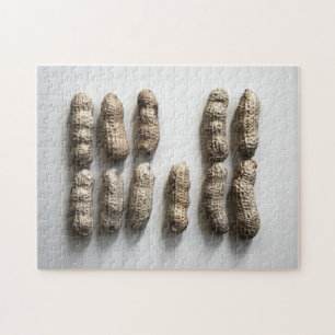 Peanuts nog steeds fijne foto van foto's legpuzzel