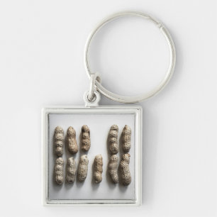 Peanuts nog steeds fijne foto van foto's sleutelhanger