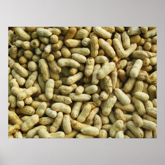 Peanuts Poster (Voorkant)