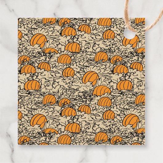 Peanuts Pumpkin 1st Birthday - Dank u Bedankjes Labels (Achterkant)