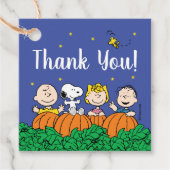 Peanuts Pumpkin 1st Birthday - Dank u Bedankjes Labels (Voorkant)