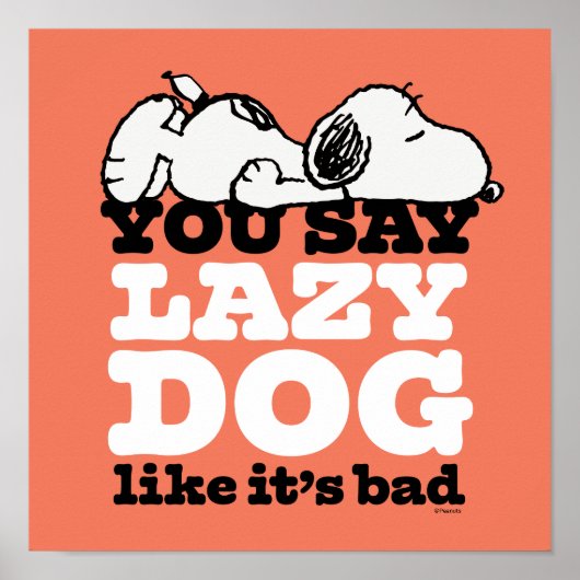 Peanuts | Snoopy je zegt luie hond alsof het slech Poster (Voorkant)