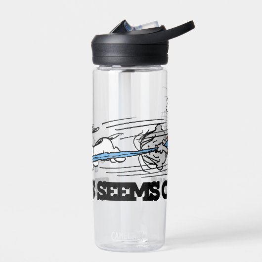 Peanuts | Snoopy & Linus Waterfles (Links)