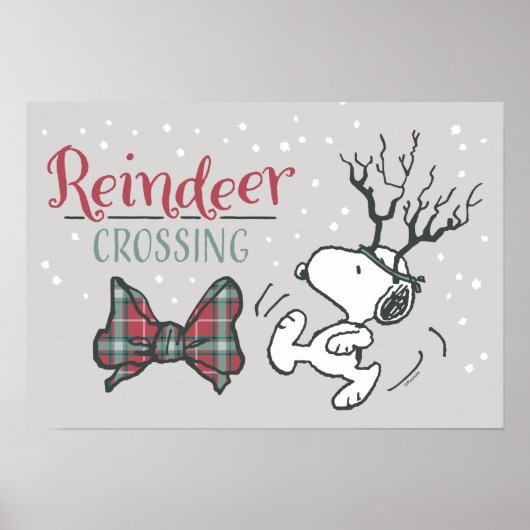 Peanuts | Snoopy Rendier Poster (Voorkant)