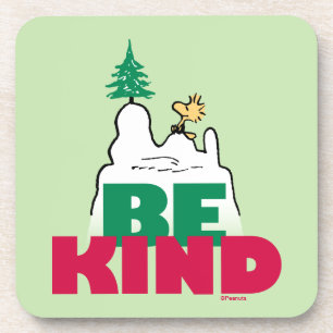 Peanuts Snoopy & Woodstock Be Kind Bier Onderzetter