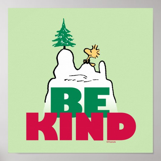 Peanuts | Snoopy & Woodstock Be Kind Poster (Voorkant)