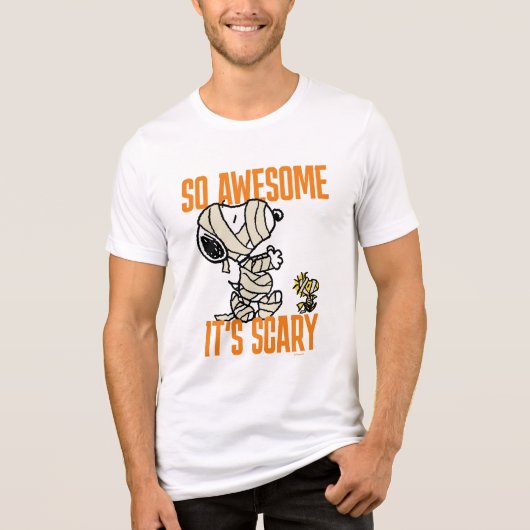 Peanuts | Snoopy & Woodstock Zo Geweldige Het is e Tri-Blend Shirt (Voorkant)