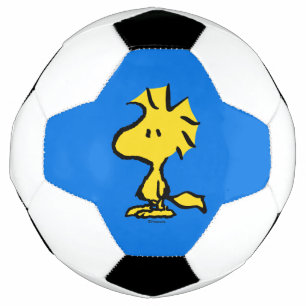 Peanuts   Snoopy's Friend Woodstock