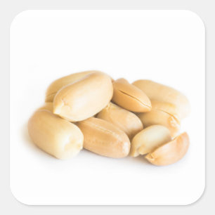 Peanuts Vierkante Sticker