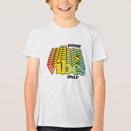 Peanuts | Woodstock Vibes Tri-Blend Shirt (Voorkant)