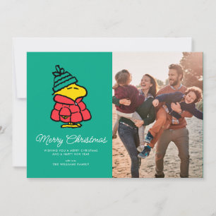 Peanuts   Woodstock Winter Vrolijk kerstfeest Feestdagenkaart