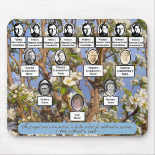 Pear Blossom Family Tree Foto's Ancestor Quote Muismat