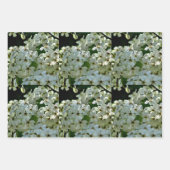 Pear Blossom in bloei Inpakpapier Vel (Voorkant 3)