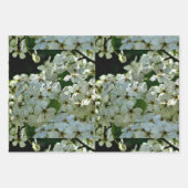 Pear Blossom in bloei Inpakpapier Vel (Voorkant 2)