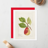 Pear Branch (Pyrus Communis)(1893) Klein Notitiekaartje (Voorkant / Achterkant in situ)
