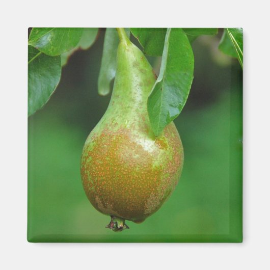 Pear Conference magneet (Voorkant)