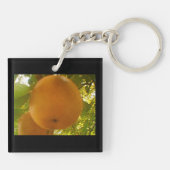 Pear-display Sleutelhanger (Achterkant)