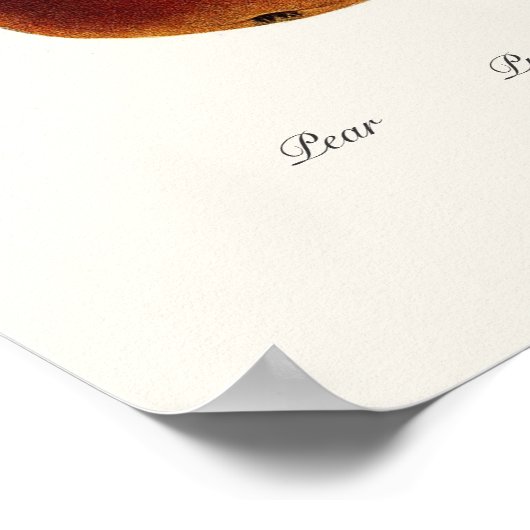 Pear Poster (Hoek)