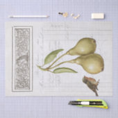 Pear Robin French Owl Leaves Decoupage Tissuepapier (Craft)