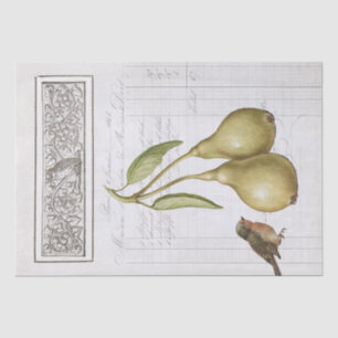  Pear Robin French Owl Leaves Decoupage Tissuepapier