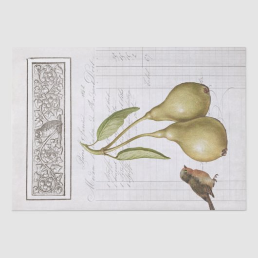 Pear Robin French Owl Leaves Decoupage Tissuepapier (Voorkant)