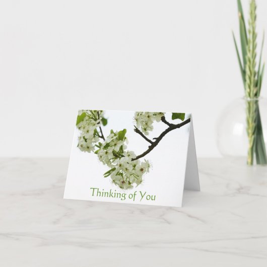 Pear Tree Branch Denken aan U, Blank Binnenin Kaart (Voorkant)