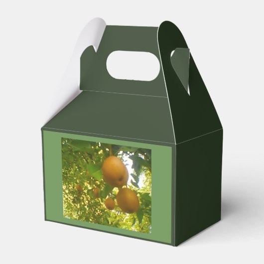 Pear Tree Oogst Bedankdoosjes (Achterkant)