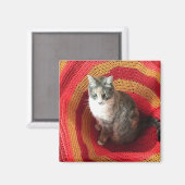 Pearl Cat Afghaans Magneet (Voorkant / Achterkant)