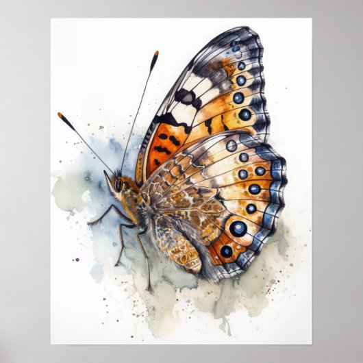 Pearl Crescent Papillon Art Imprimer Poster (Devant)