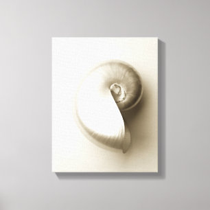 Pearl Nautilus Seashell Canvas Afdruk