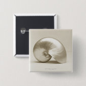 Pearl Nautilus Seashell Vierkante Button 5,1 Cm (Voorkant /achterkant)