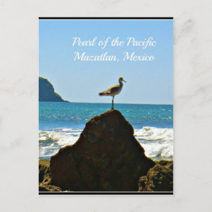 Pearl of the Pacific Mazatlan Mexico Bird Briefkaart