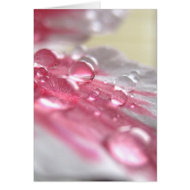 Pearls Card (Voorkant)