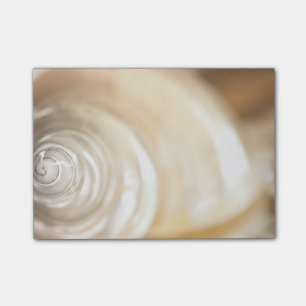 Pearly White Zee Shell Marine Natuur Post-it® Notes