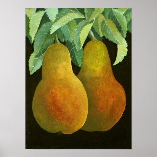 Pears 2014 2 poster (Voorkant)